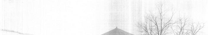 Az 1870-78 közötti időszakban sűrűn váltották egymást a komoly anyagi problémákkal küzdő társulatok.