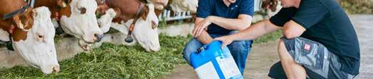 A GERMICIDAN APA-t elsősorban a farmokon az élelmiszerekkel érintkező felületek, centrifugák, tartályok, hűtők, csővezetékek, gépek és berendezések gyors fertőtlenítésére fejlesztettük ki.