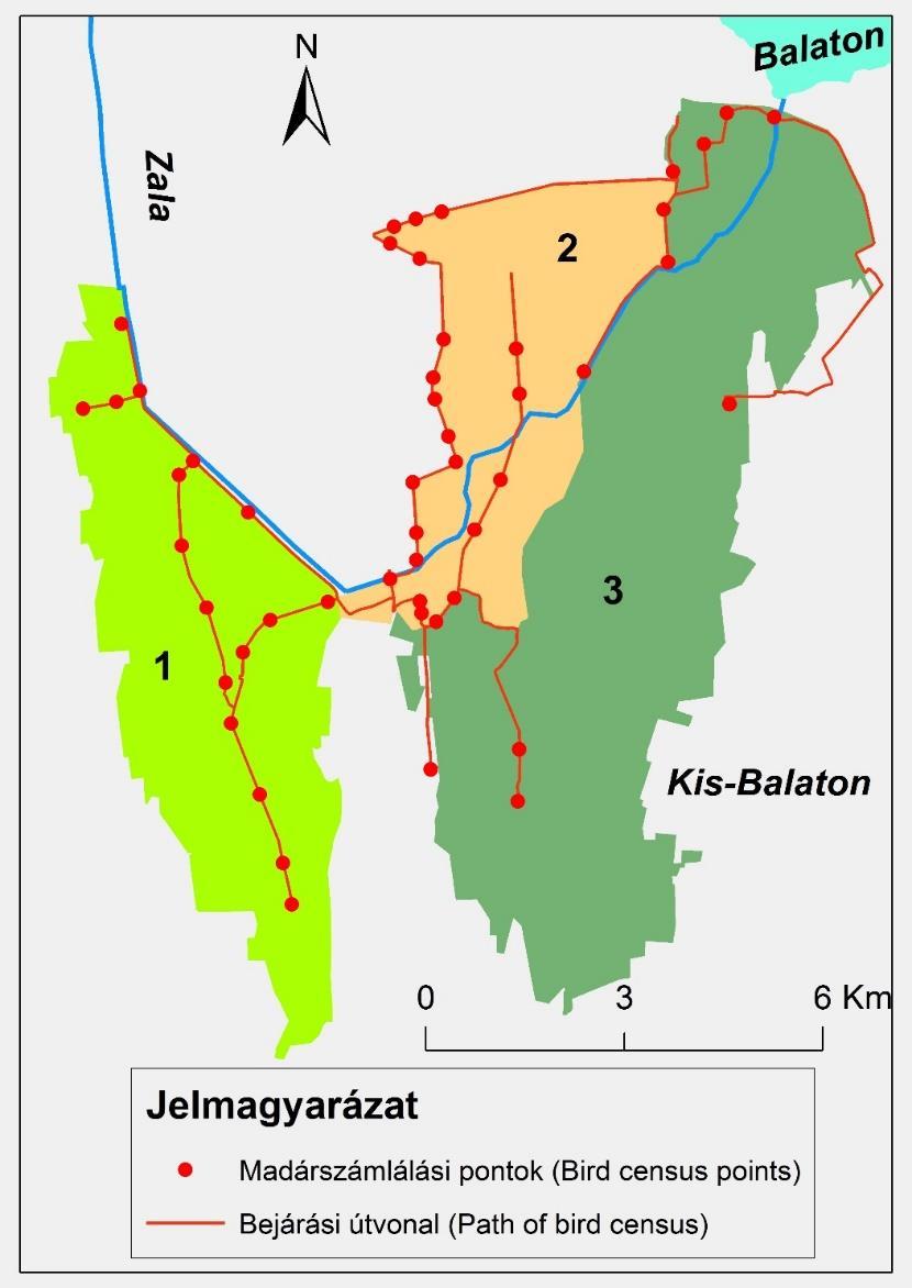 A Kis-Balaton vízi és vizes élőhelyeihez kötődő fészkelő madárpopulációk 2. ábra. A madárszámlálási pontok és bejárási útvonalak elhelyezkedése a Kis-Balaton területén. 1 KBVR I.