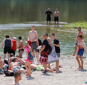 dzsungelszerű ártéri erdők kialakulása. Ezeken a dinamikusan változó élőhelyeken rendkívül ritka fajok találnak otthonra ilyen például a kis csér vagy a csermely ciprus.