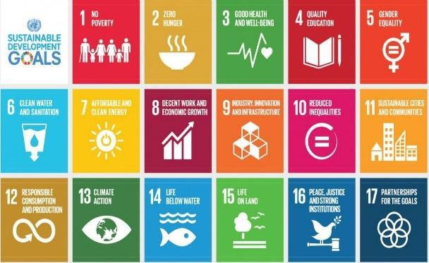 Vida Gábor: Az UNSDG 2015 kritikai elemzése UNSDG ENSZ SZEREPE A FENNTARTHATÓ FEJLŐDÉS NEMZETKÖZI FOLYAMATAIBAN Sze ezők: CEEweb a Biológiai Sokféleségé