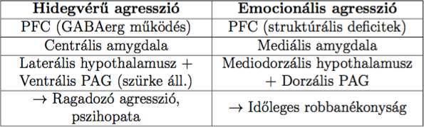 prefrontális kéreg > amygdala > hypozhalamusz > raphe magok Ugyanez a pályarendszer (kissé változtatott útvonalon) képes többféle agressziót kiváltani: A hidegvérű agresszió esetén a direkt pályából