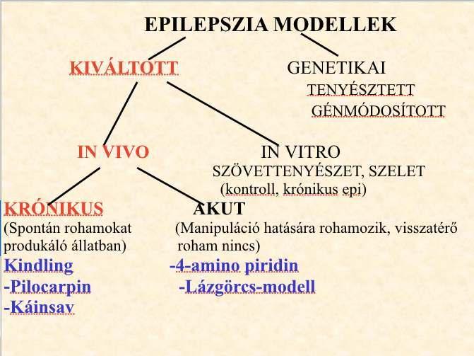 18.1. 10 Epilepszia modellek 18.2 Alzheimer-kór és Prion kór Fehérjék in vivo, és in vitro különböző szerkezeteket vesznek fel, a sejtekben a dajka fehérjék segítik a foldingot.