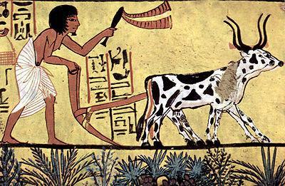 Az emberiség történelme során három olyan fontosabb időszak volt, amikor a népesség intenzívebben nőtt: 1. Kr.e. 10000 körül, a neolit forradalom idején, amikor a gyűjtögető-vadászó életmódot felváltotta a mezőgazdasági termelés és ezzel összefüggésben megkezdődött a letelepedés.