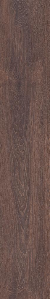 ST-660 65 brown CSR-65 cacao gesztenye