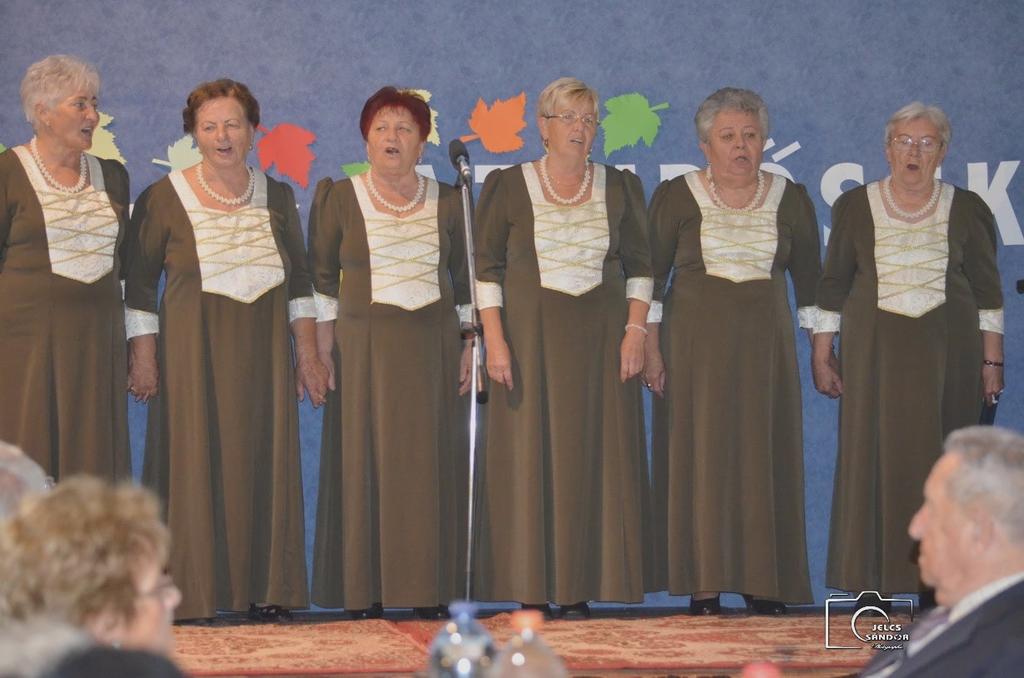 IDŐSEK NAPJA Önmagát becsüli meg minden nemzedék azáltal, hogy tudomásul veszi: a világ nem vele kezdődött. (Sütő András) 2017.