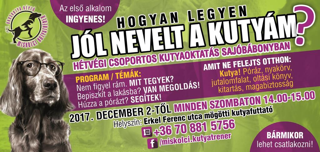 REFORMÁTUS PARÓKIA FELÚJÍTÁSA A Tiszáninneni Református Egyházkerület által elfogadott pályázattal a