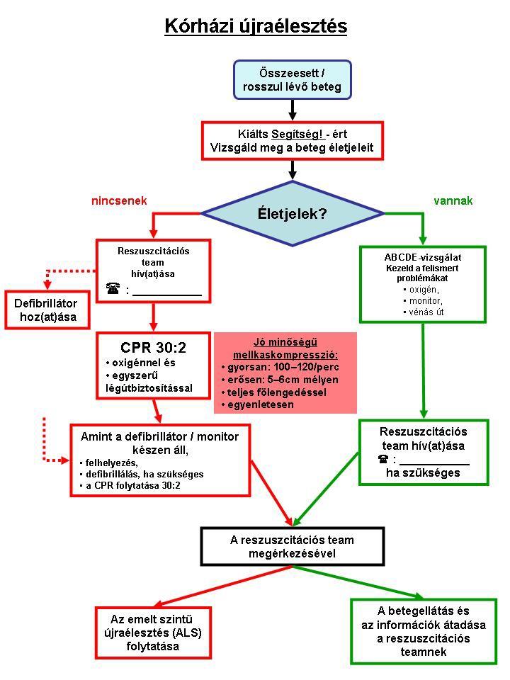 5. ábra A kórházi újraélesztés A kórházi BLS főbb