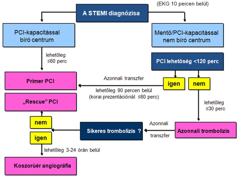 4. ábra A STEMI ellátási algoritmusa az ESC 2013-as ajánlása szerint. A PCI haszna miatt a kezelési algoritmus több késlekedési időt enged a katéteres kezeléshez, mint a gyógyszereshez.