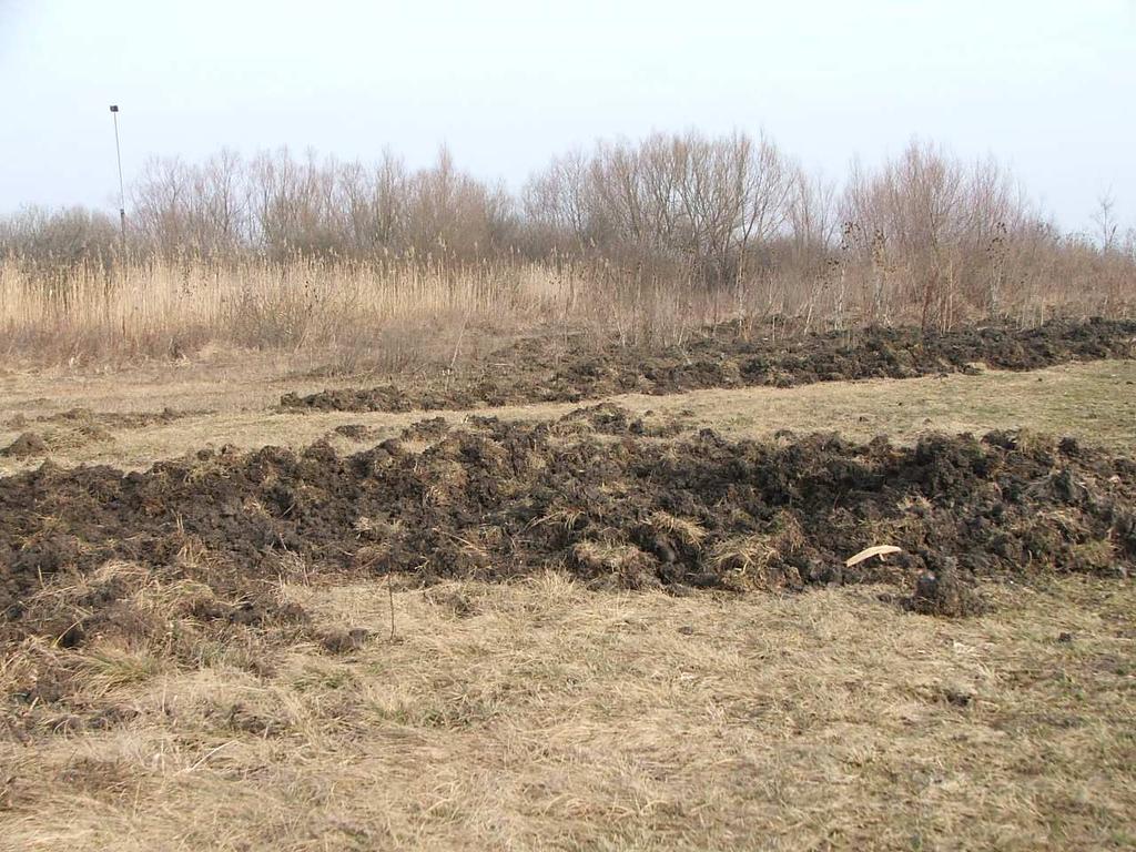 erdősültség növekedésével és a nagytáblás mezőgazdálkodás előnyös feltételeivel magyarázható. Esős időszak után előszeretettel keresi fel a réteket, legelőket, ahol giliszták után kutat.