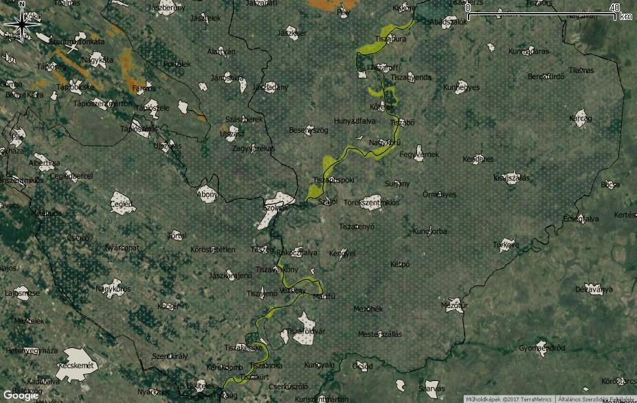 szikibagoly (Gortyna borelii). A növényevő bogarak közül elsősorban egy apró védett cincérfajt kell kiemelni, a hengeres szalmacincért (Teophilea cylindricollis). 34. ábra.
