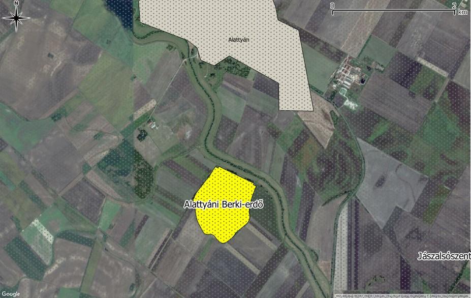 Alattyáni-Berki-erdő (HUHN20074) kiemelt jelentőségű természetmegőrzési terület A Natura 2000 terület Alattyán település külterületén, a Jászság kistájban, a TápióSajó hordalékkúp-síkság vegetációs