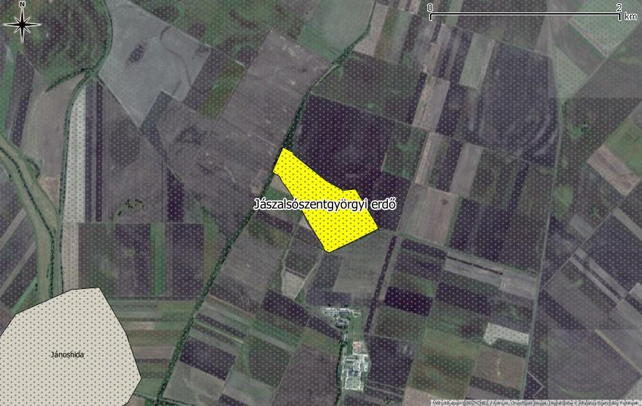 91I0* - Euro-szibériai erdssztyepptölgyesek tölgyfajokkal (Quercus spp.) közösségi jelentőségű élőhelyet alkotják. 46. ábra.