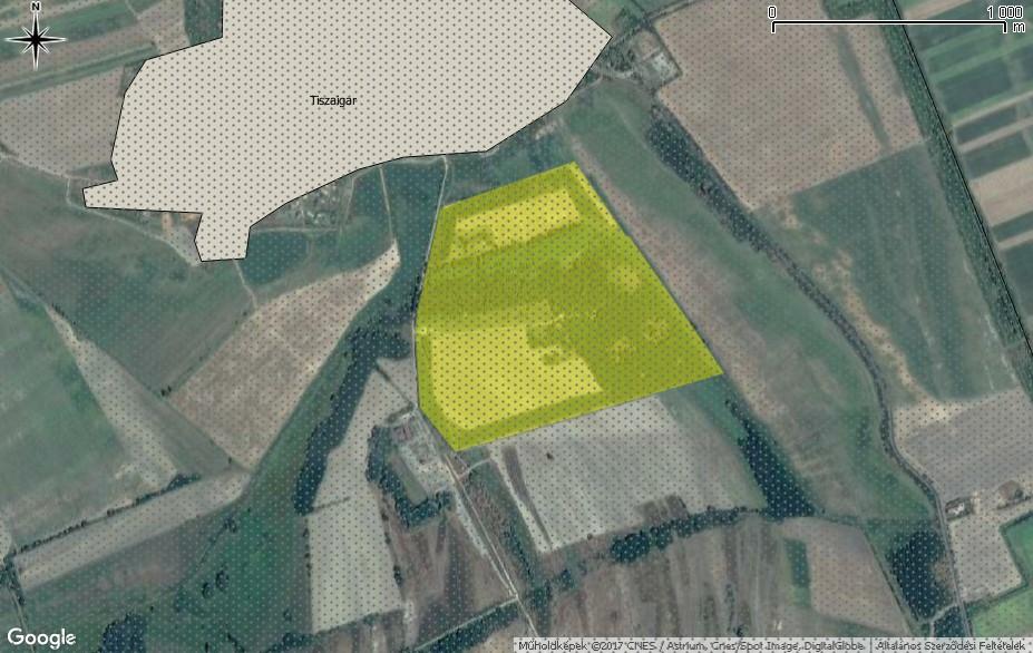 Európa jelenleg ismert legnagyobb tavi denevér (Myotis dasycneme) kolóniája és jelentős értéket képvisel a hullámtérben biztos életfeltételeket találó közönséges vidra (Lutra lutra) is.