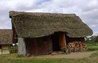 csarnokok,