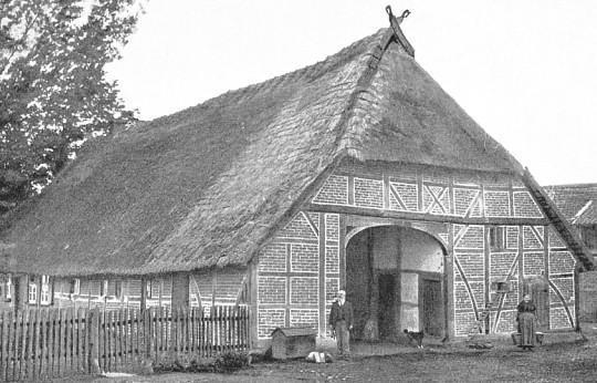 marhaistálló / 3.