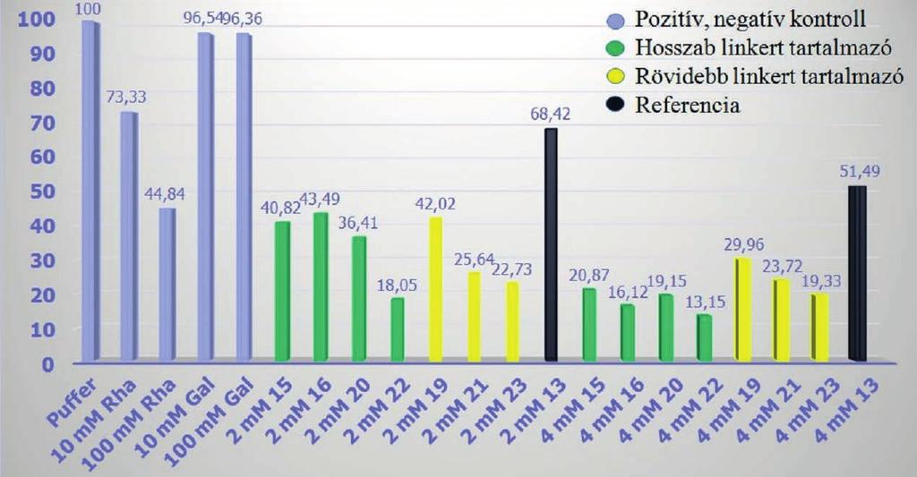 VEGYIPAR ÉS KÉMIATUDOMÁNY Ramnobiozidszármazék Click-reakció Dezacetilezés Szintetizált (reakcióidő; (reakcióidő; multivalens hozam) hozam) vegyület 17 5 4h; 87% 24h; 56% 20 18 5 20h; 83% 24h; 86% 21