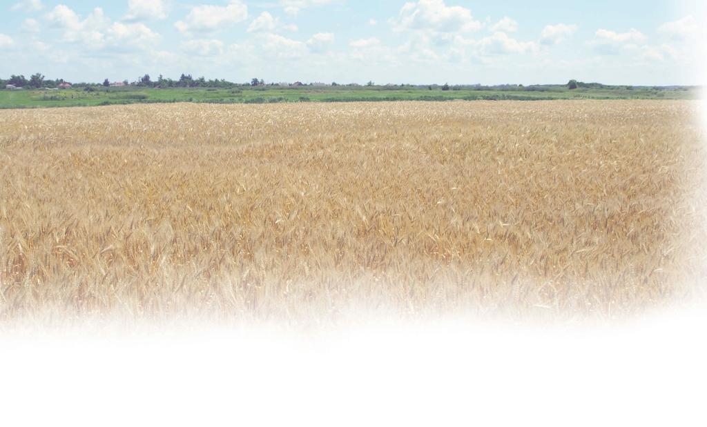 KITEKINTÉS Venetianer Pál Alkotmányos mezőgazdasági biotechnológia H azánk alaptörvénye valószínűleg a világon egyedülálló módon meg kíván védeni bennünket egy jelentős, bár vitatott,