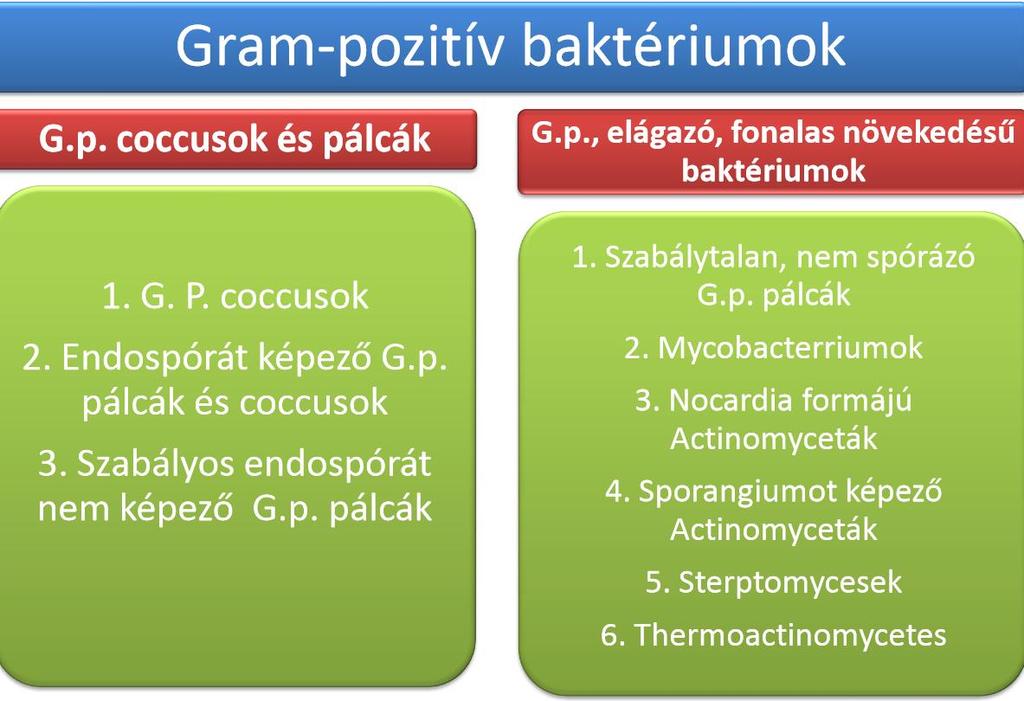 A munkások etetéskor a rossz szellőzésű istállóban ezeket a