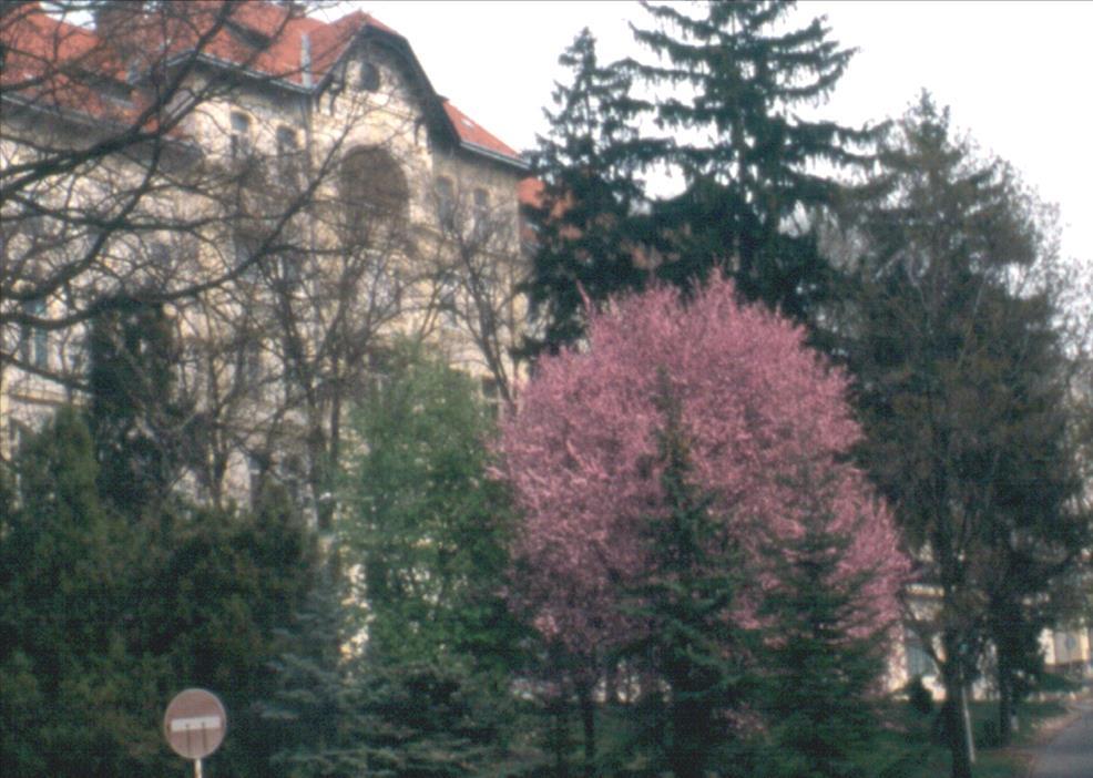 ÜDVÖZLET A
