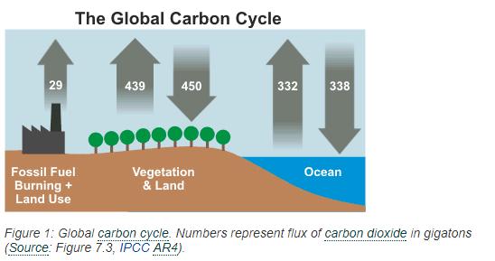 720 MILLIÁRD TONNA SZÉNDIOXID A LEVEGŐBEN A TERMÉSZET SEM TUD JOBBAT, MINT A CARBON ALAPÚ ENERGIATERMELÉST C 6 H 12 O 6 + 6O 2 6CO 2 +