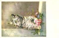 22494. Cats.
