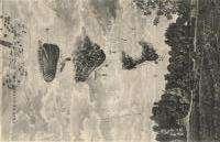 Graphic picture of an