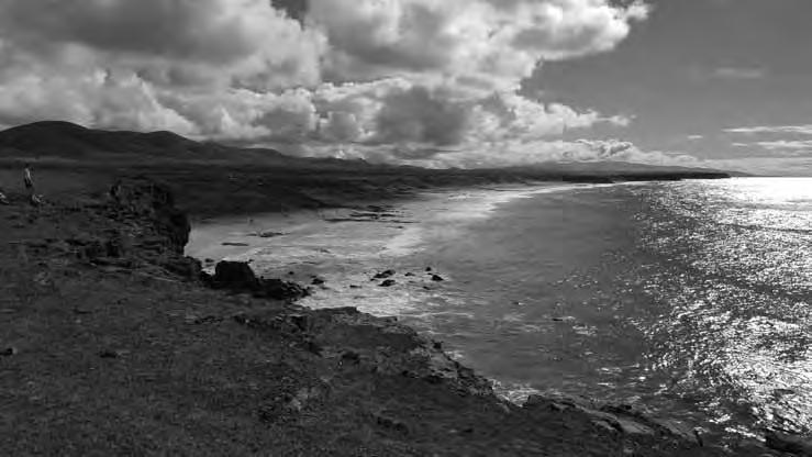 8. kép El Cotillo gigantikus partvonala Fuerteventurán Photo 8 The gigantic coast line of El Cotillo in Fuerteventura Összefoglalás A Kanári-szigetek az Azori-, Zöld-foki-, Selvagens- és