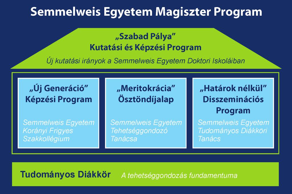 Magiszter Program: Tehetséggondozás egységes rendszerben Tavaly júliusban indult a Semmelweis Egyetem fiatal tehetségeket támogató kétéves programja (TÁMOP-4.2.