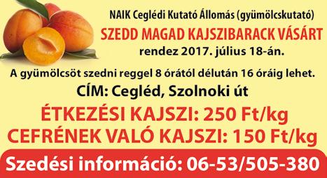 Érdeklődni: 06-70/324-39-61 CEGLÉDEN Kékkő utcában félkomfortos kertes ház eladó. Iá.: 4,5 mft. 06-20/966-6694 NAGYKŐRÖSÖN, frekventált helyen 250 nm-es, kétgenerációs polgári ház ipari árammal eladó.