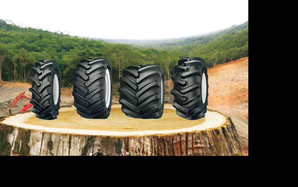 Gumiabroncsokkal segíti a vérszállítást a Bridgestone Téli és nyári gumikat adományozott a Semmelweis Egyetem vérszállítóinak a vállalat Évente közel 10.