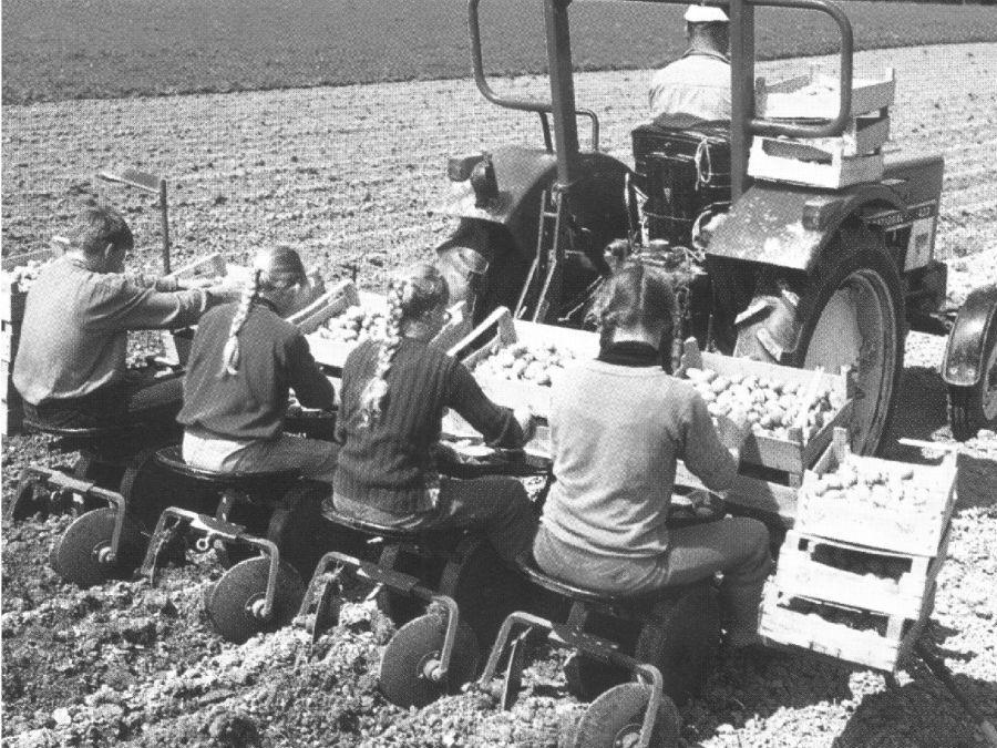 126. ábra. Függesztett munkagépen kezelő a munkavégzés közben tartózkodhat, kiemelt helyzetben azonban még a fordulókban sem! A betakarítás munkabiztonsági követelményei.