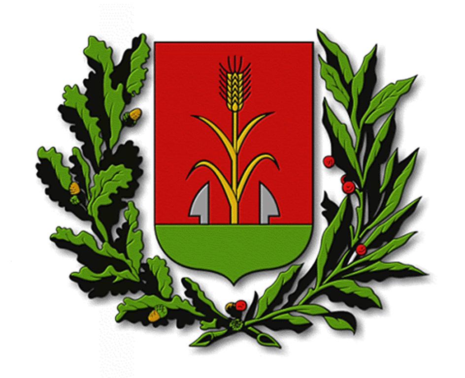 Budapest Főváros XV. kerület Önkormányzat J E G Y Z Ő K Ö N Y V készült a képviselő-testület 2011. november 16-án 14.00 órakor kezdődő rendkívüli nyilvános üléséről Helye: XV.