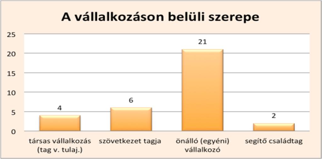 folytatott semmilyen formában kereső tevékenységet. 12. ábra: Elsődleges munka (fő) N=243 Forrás: Nyíregyháza Ifjúsága 2015.