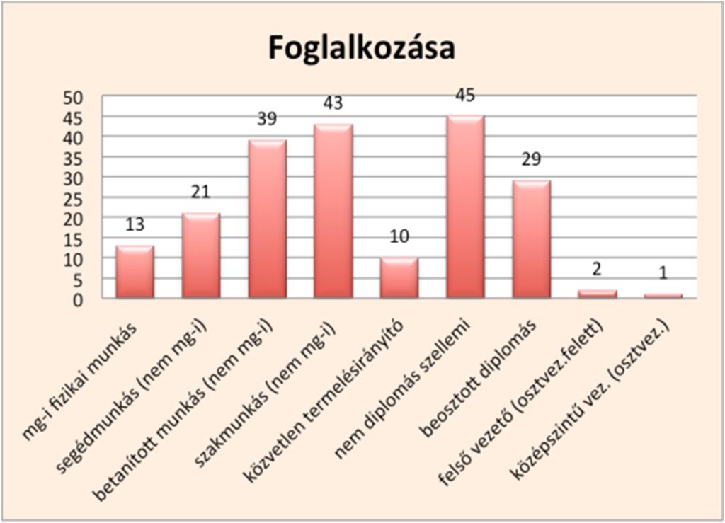 tehát nem kisvállalkozást működtetnek. 14. ábra: Foglalkozás jellege (fő) N=243 Forrás: Nyíregyháza Ifjúsága 2015. 15.