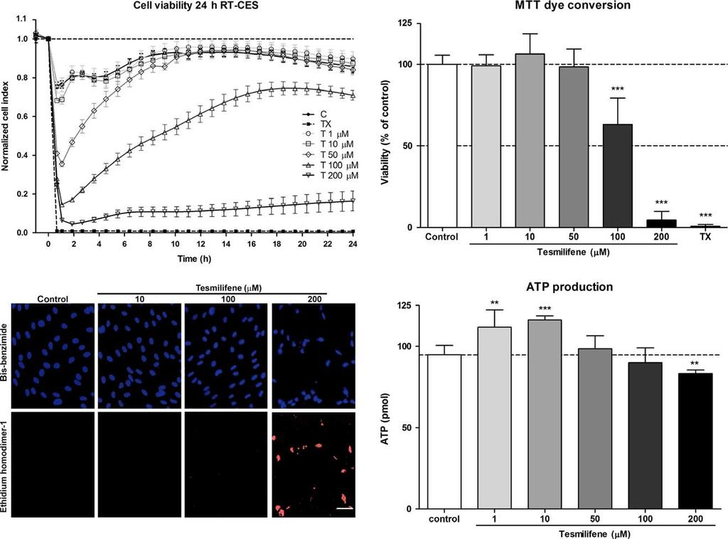 6 F. R. Walter et al. The extravasation of fluorescein and albumin to brain cortex was not changed by tesmilifene in sham-operated animals in either hemisphere.