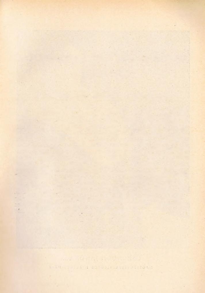 64/a A KATOLIKUS EGYHÁZ MAGYAR- ORSZÁGON. I. ESZTERGOMI ÉRSEKI TARTOMÁNY.