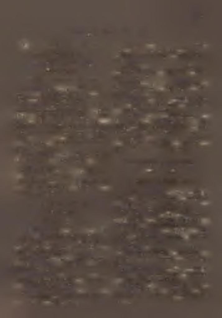 W ie d e r k e h r J ó z s e f. Sikk: B o r s a i I s tv á n, K a z i n c z y I m r e. 3. Kalocsa (Jézus Szentszfve plébánia) K : kalocsai érs. H : 5765. Lelkész: T ó th I s tv á n.