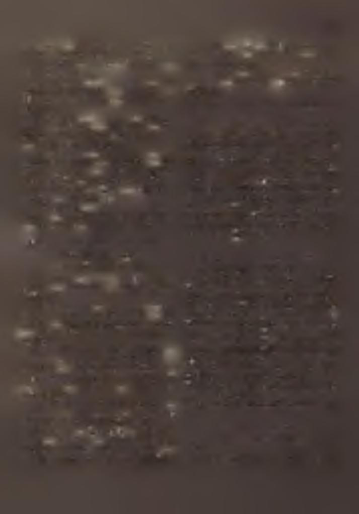 Madaras K : Latinovits-család. H : 4208. Pl: K o v á k F e r e n c. Kisegítő lelkész: S z a b ó I s t v á n Sík: M e h r in g e r S á n d o r. 6. Mátételke %? - 'j : Bácsalmás. H : 75