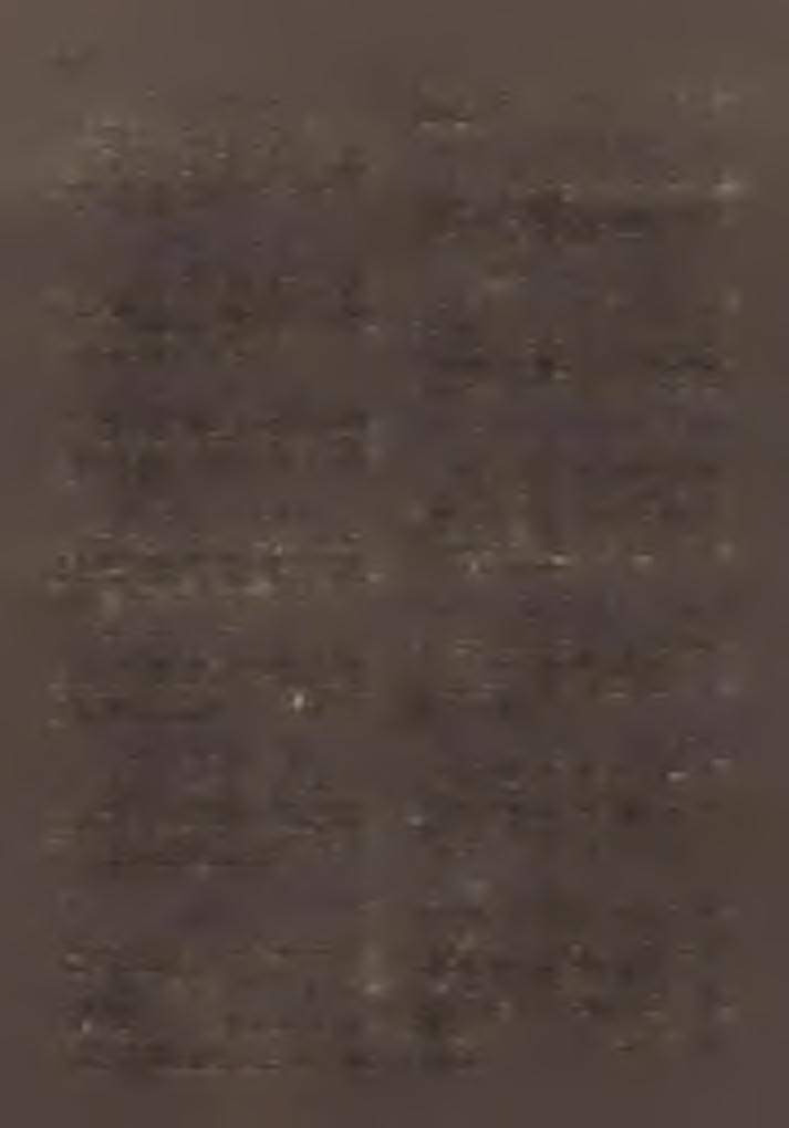 B a ra n ya i/ József. C o n su lto r-p léb á n o so k. F röhnert L ajos, F ra n k K á ro ly, K is s László, Csonth B éla, B a rá - czius József, S zm id a V iktor, M ild - ner B éla.