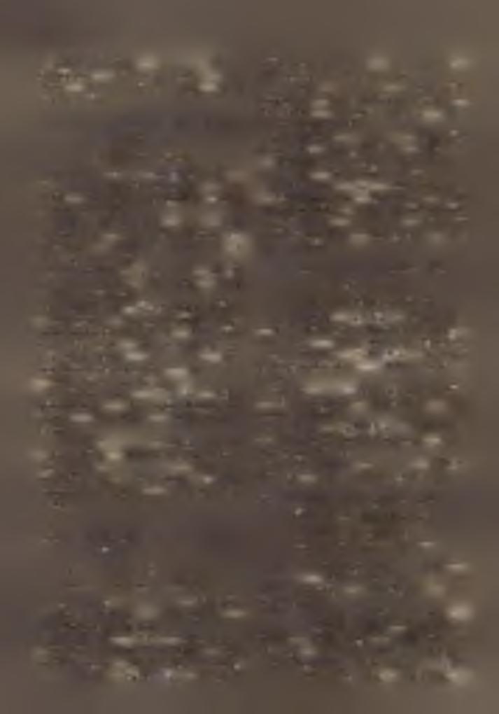 Plh: B o z z a y Is tv á n. Sík: N a g y J ó z se f. 3. Doropháza %: Nem ti. SS4(,: Mátramindszent, H: 3137. Plh: M e lic h e r K á lm á n. 4. Erdőkövcsd % ' ': Pétervására. SS: Eger.