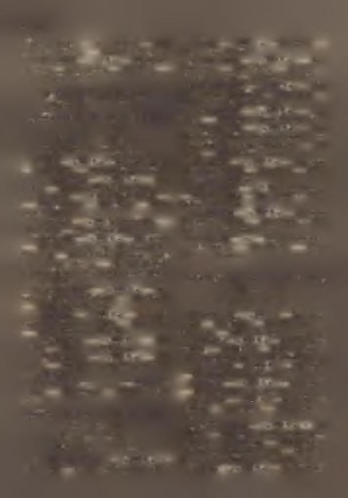 - Plh: T r á z s y G y ö r g y. 2. Fcnyeslitke 'fessi*. H : 1800. Pl: D r. H a l á s z y C é s á r. 3. Gemzse *1*: Szabolcsbáka. t : Gyüre. H : 468. Plh: I.u c z e B é la. 4. Kéeske %?SS 5 : Kisvárda.