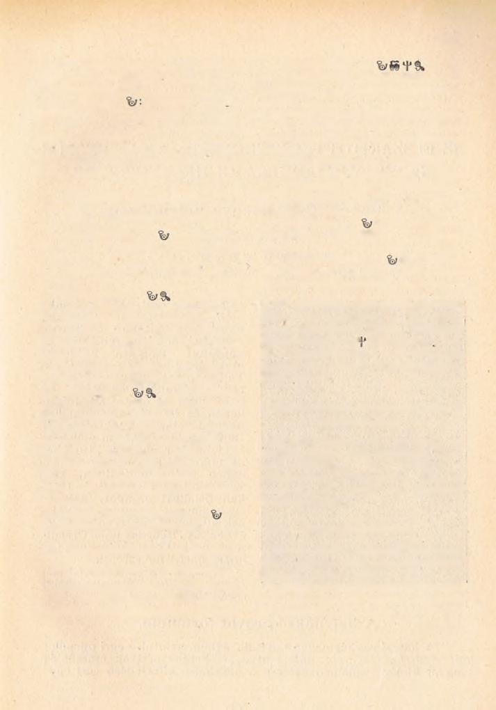 191 5. Tornabarakony %gg: Bodvaszilas. K : megyés pp H : 527. Pl: K o v a lic z k y P á l. 6. Viszló Rakaca. Kg: Szalonna. *j>: Krasznokvajda. H : 584. Pl: D r. B u b n ó A n d o r, szentsz. tanácsos.