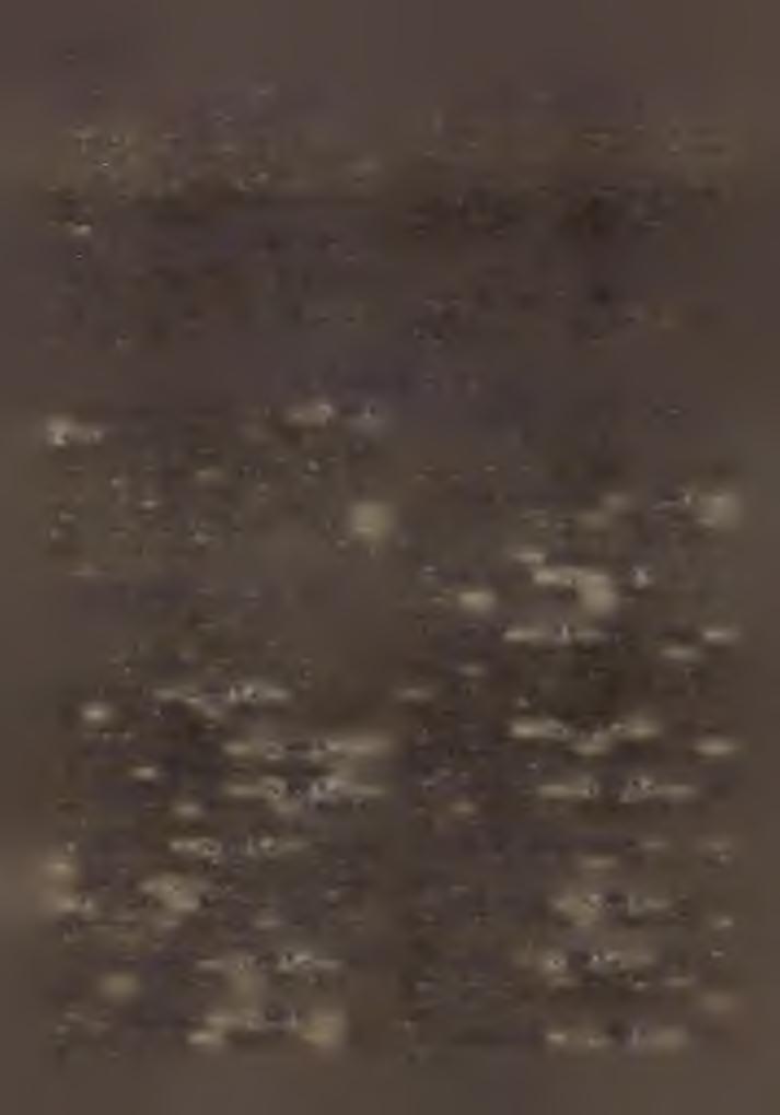 Á rp á d. Tanfelügyelő : D r. D om an ek P á l H en rik. P a p i n y u g d íjin té z e t. Elnök: Dr. Lindenberger János. Jegyző : D r. B eöthy György Tibor.