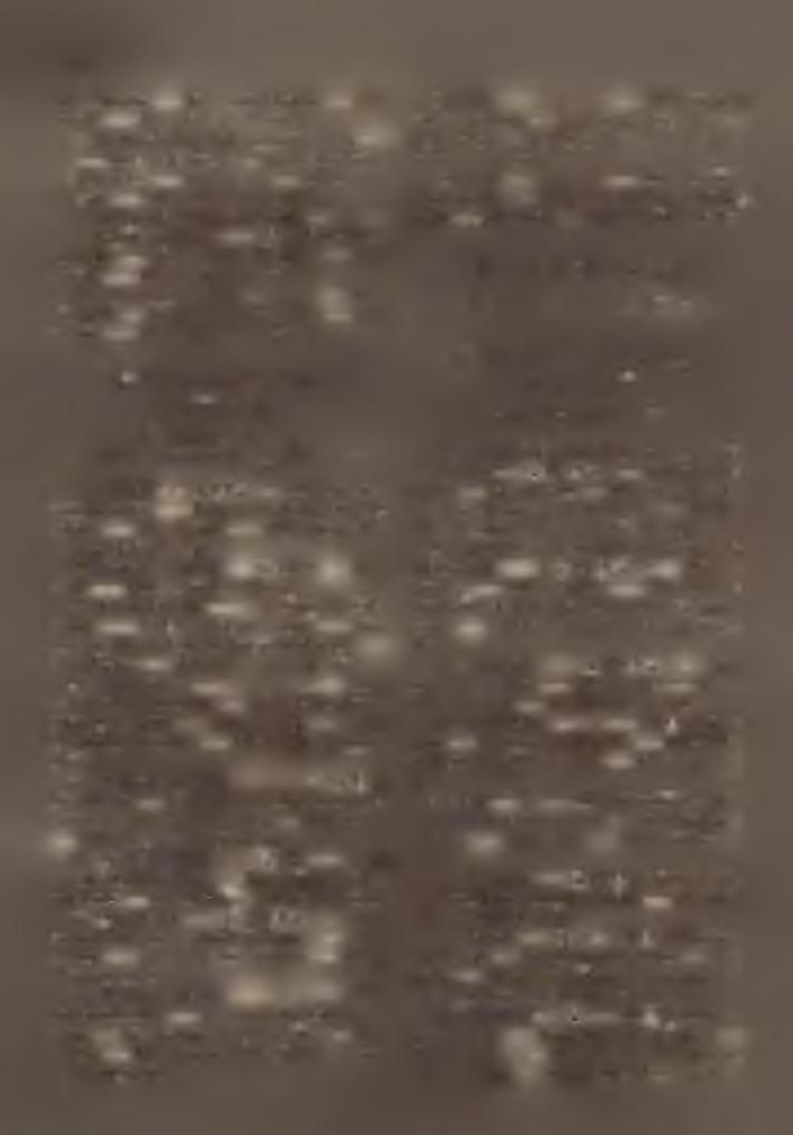 P l : H o r v á th J á n o s. IV. Péri cspcrcsi kerület. (Győr vm.) Esp. : S o ó s G éza. Kerületi tani. : K a r á c s o n y i S á n d o r. 1. Gönyü % T 9» SS : Nagyszentjános.