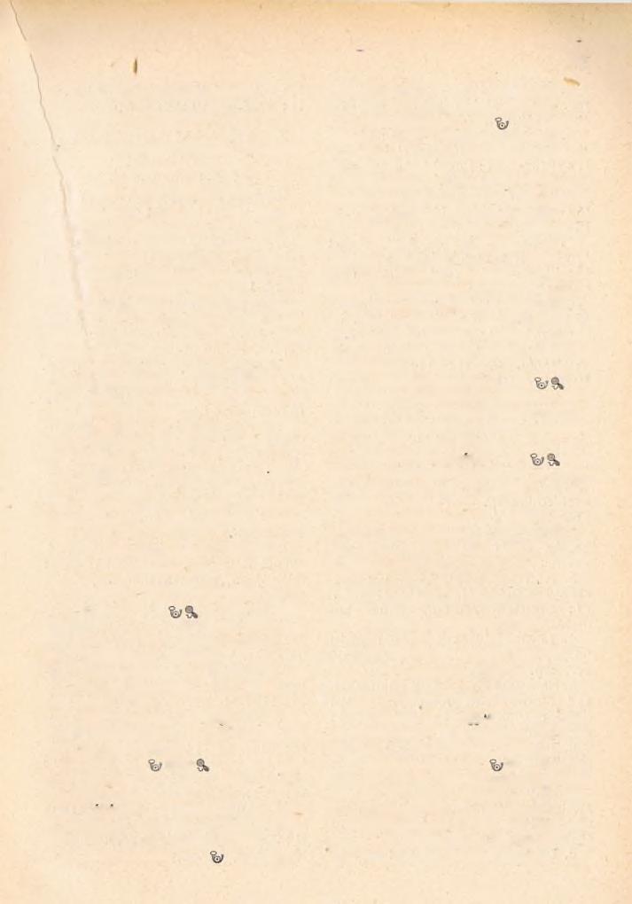 \ 87 VI. C] Mosoni fó'esperesség. Főesp. : C z in g r a b e r L a jo s. Magyaróvári cspcresi kerület. (Moson vm.) Esp. : M e r s ic h M i h á l y. 1. liezenyc %SS9* Y : R ajka. K : Frigyes főherceg.