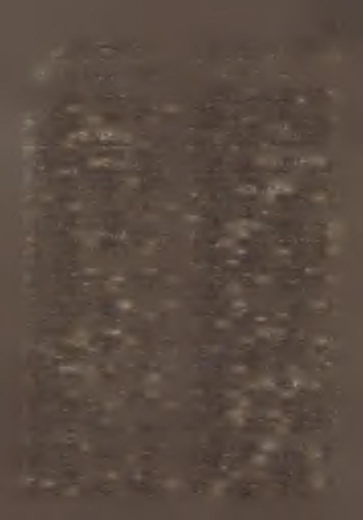 K : Esterházy Pál herceg. H: 2125. P l : F a r k a s S á n d o r, tb. kanonok, kér. esp. Sík : V a r g a J ó z s e f. 4. Cirák : Beled. K : vallásalap. H : 2955.