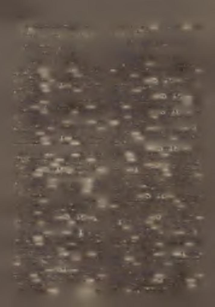 B ábolnapuszta SS: Nagyigmánd. K : állami urad. H: 1366. Pl: Schadl József. 5. Dokod *}' I<: Esterházy Móric gróf. H: 560. - Pl: Pájter István. 6. Császár K: E sterházy Móric gróf. II: 1811.