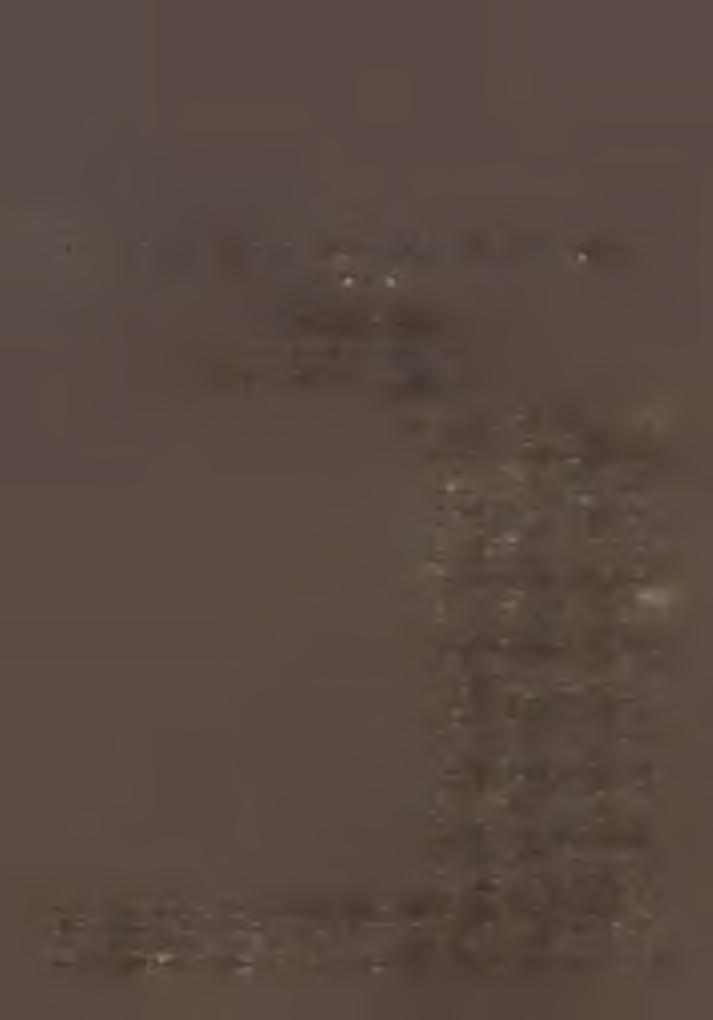 kát. főgimnáziumban végezte.