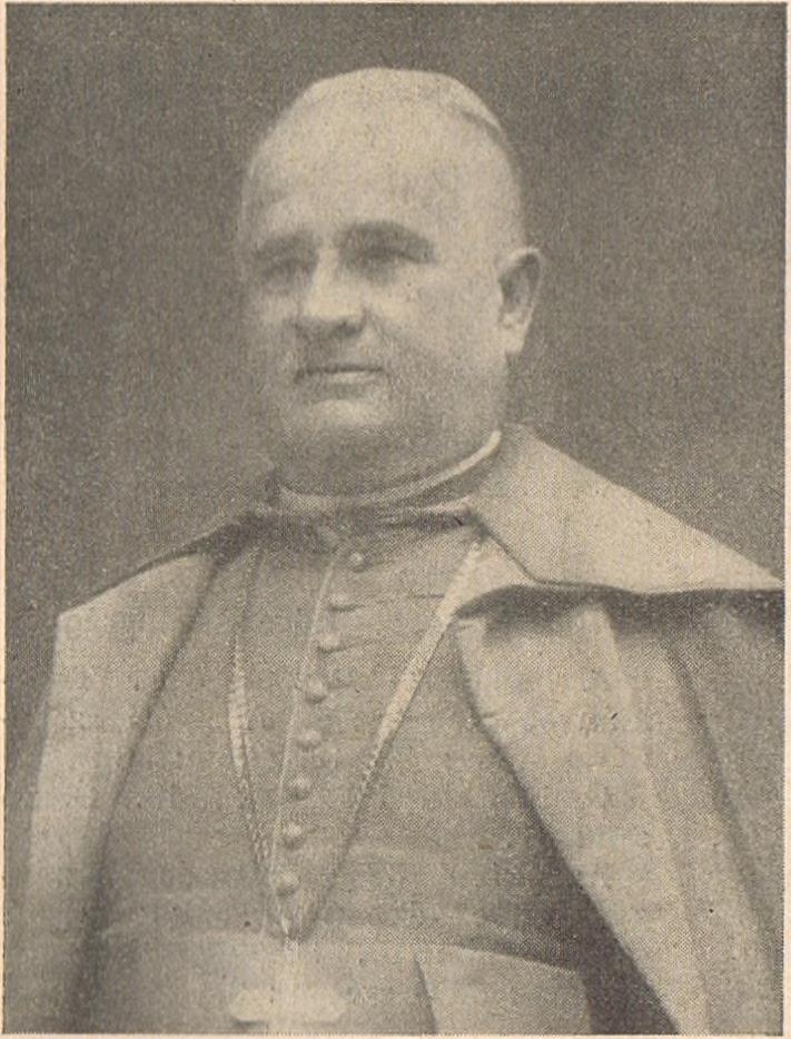 lyceumon végezte.